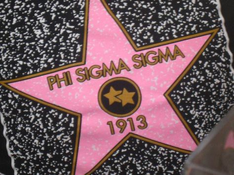 so cute. Phi Sigma Sigma, 1913 Recruitment Themes, Big Little Basket, Theta Phi Alpha, Phi Sigma Sigma, Bid Day Themes, Hollywood Theme, Alpha Gamma Delta, Pi Phi, Sorority Crafts