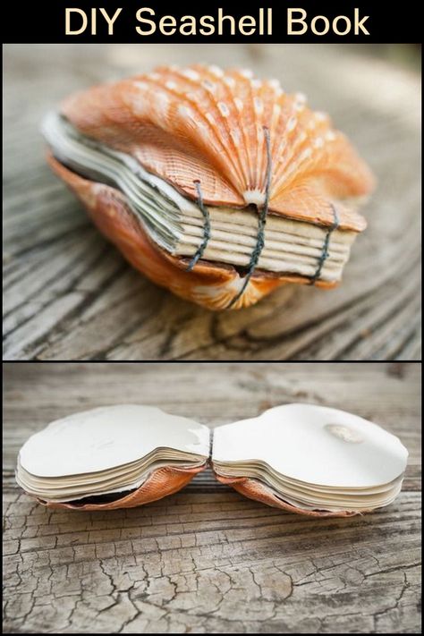 Seashell Book, Art Coquillage, Backyard Beach, Pools Backyard, Backyard Oasis Ideas, Shell Crafts Diy, Cadeau Diy, Diy Crafts To Do, Seashell Art