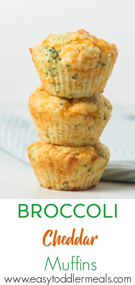 Move over sweet muffins, we have a new muffin in town. Filled with cheesy goodness and greens too it’s the perfect make ahead lunch box item for everyone! Trust me, your kids will LOVE them! #lunchbox #snack #lunch #kidapproved #savorymuffins #easytoddlermeals Broccoli Muffins, Make Ahead Lunch, Cheddar Muffins, Sweet Muffins, Easy Toddler Meals, Snack Lunch, Savory Muffins, Sweet Muffin, Make Ahead Lunches