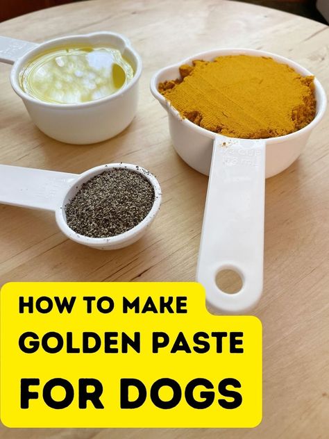 Golden paste for dogs: how easy is it to make your own? Turmeric Treats For Dogs, Tumeric Paste For Dogs Recipe, Tumeric Dog Treats Recipes, Golden Paste Turmeric Recipe, Tumeric Paste, Golden Paste For Dogs, Puppy Treats Homemade, Tumeric For Dogs, Golden Paste Recipe