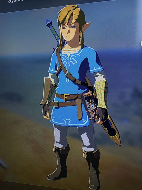 Champions Tunic Link, Link Costume Breath Of The Wild, Link Breath Of The Wild Outfits, Link Champion Tunic, Link Outfits Breath Of The Wild, Link Botw Outfit, Pants Digital Art, Color Leather Pants, Link Tunic