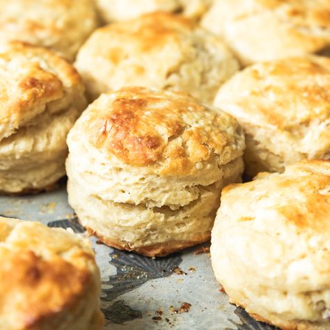 These easy Sourdough Discard Biscuits are flaky and buttery with a hint of delicious tanginess. The simple dough takes minutes to pull together and the Sourdough Discard Biscuits, Discard Biscuits, Sourdough Treats, Sourdough Discard Crackers, Wild Thistle, Discard Crackers, Sourdough Biscuits, Discard Recipe, Sourdough Recipe