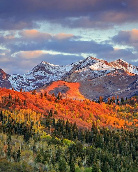 Wasatch Mountains Utah, Usa Landscape, Utah Fall, Montana Landscape, Sandstone Tiles, Travertine Wall Tiles, Fall Morning, Fall Vacations, Concrete Look Tile