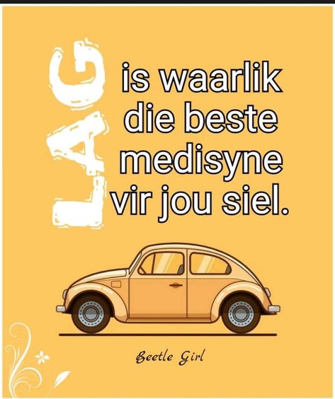 Positiewe Denke, Beetle Girl, Ladybug Rocks, African Quotes, Diy Sandals, Afrikaans Quotes, Afrikaanse Quotes, Goeie More, Positive Living