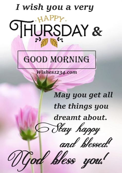 50+ Thursday morning quotes and Thursday blessings with images Blessed Thursday Quotes, Quotes For Thursday, Happy Thursday Blessings, Blessed Thursday, Thursday Morning Quotes, Happy Thursday Morning, Happy Thursday Images, Thursday Greetings, Good Morning Happy Thursday