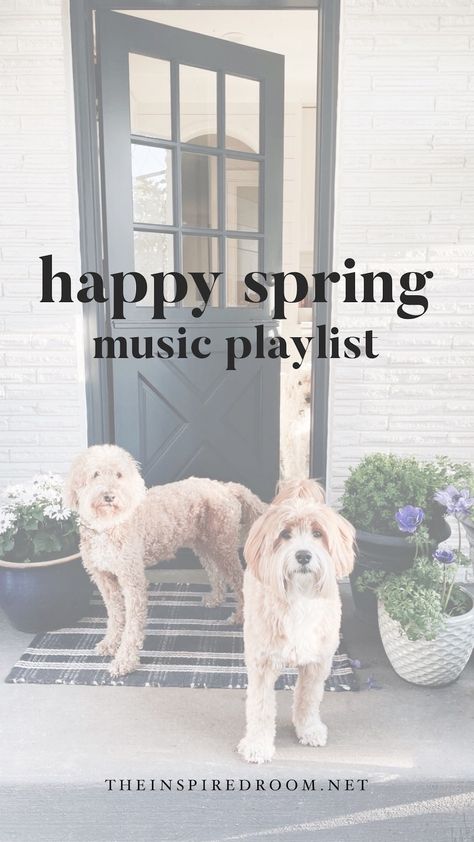 Music Playlists - The Inspired Room Spring Playlist, Spring Music, Music Playlists, Happy Spring, 4 Seasons, Music Playlist, Season Colors, Morning Routine, Room Inspiration