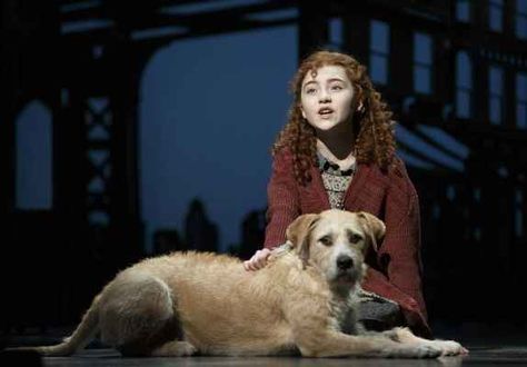 After landing the role of Sandy, this dog is living his dream as part of the cast of Annie. Lilla Crawford, Annie On Broadway, Annie Costume, Annie Musical, Broadway Tickets, Musical Plays, Broadway Theatre, Broadway Musical, Newsies