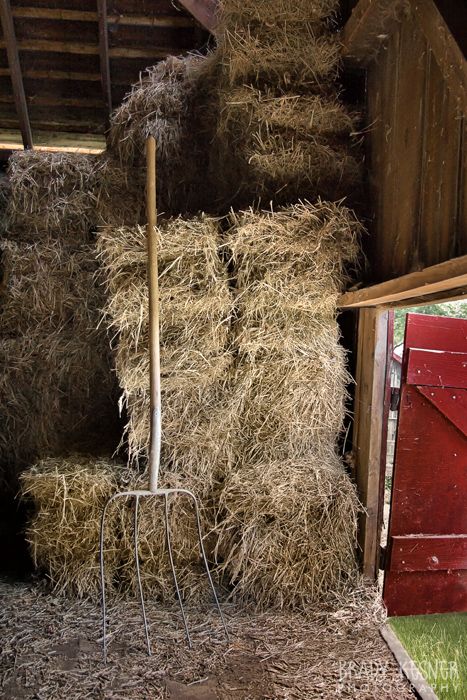 Hauling Hay Everything Country, Hay Bales, Country Scenes, Ranch Life, Farms Living, Down On The Farm, Rural Life, A Barn, Food Pantry