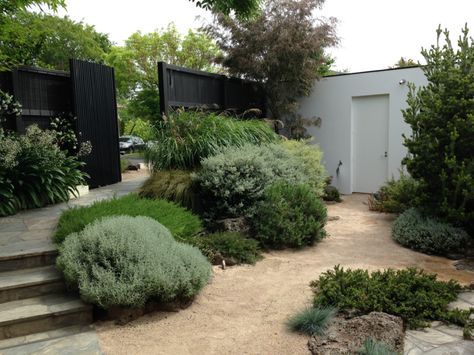 Front entrance to Cameron Paterson's Australian garden Australian Native Garden, Dry Garden, Australian Garden, Coastal Gardens, Low Maintenance Landscaping, Have Inspiration, Low Maintenance Garden, Mediterranean Garden, Landscape Plans