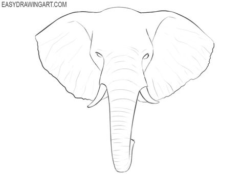 How to Draw an Elephant Head | Easy Drawing Art Croquis, Elephant Painting Canvas Step By Step, Elephant Painting Canvas Easy, How To Draw An Elephant Step By Step, How To Draw Elephant, How To Draw An Elephant, Draw Elephant Easy, Animal Head Drawing, Elephant Drawing For Kids