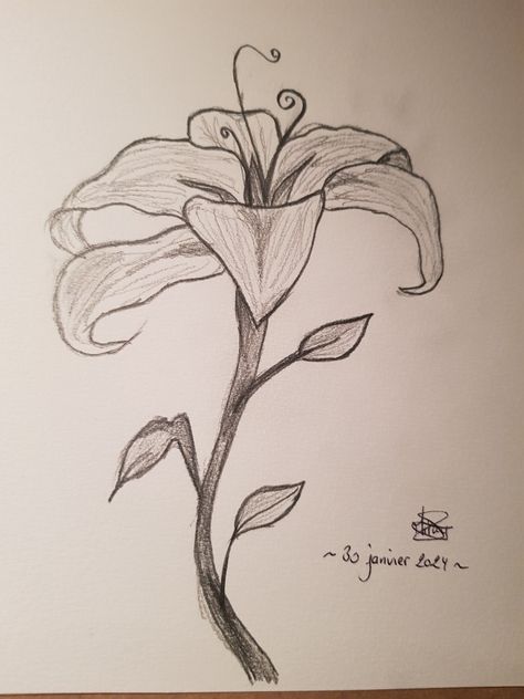 Fairy Flower Drawing, Nice Drawings Easy, Geometric Flower Drawing, Dibujos Coquette, Vine Drawing, Lilies Drawing, Easy Flower Drawings, Easy Disney Drawings, Pencil Drawings Of Flowers