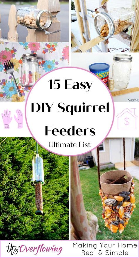 Squirrel Slinky Feeder Tutorial Wildlife Feeders Diy, How To Make A Squirrel Feeder, Homemade Squirrel Feeder, Diy Squirrel Feeder Easy, Squirrel Habitat, Diy Squirrel Feeder, Squirrel Picnic Table Feeder, Squirrel Feeder Diy, Mini Picnic Table