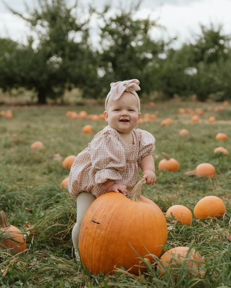 Big fall girly 🤗🍂🎃👢🍎 Dovey is 10.5 months old and mom has been slacking on the monthly photos. But getting back into it 🫡 #fallbaby #fallphotoshoot #appleorchard #babyphotoshoot #10monthsold #appleorchardphotoshoot #michiganweddingphotographer #travelingphotographer #destinationphotographer @farmhauscider Monthly Photos, Michigan Wedding Photographer, Fall Photoshoot, Fall Baby, 5 Months, Baby Photoshoot, Photographer, 10 Things, Quick Saves