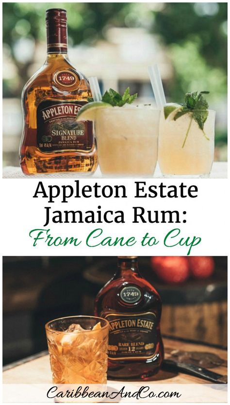 Jamaican Drinks, Appleton Rum, Spiced Rum Cocktails, Caribbean Life, Appleton Estate, Trinidad Recipes, Caribbean Rum, Malibu Rum, Caribbean Food