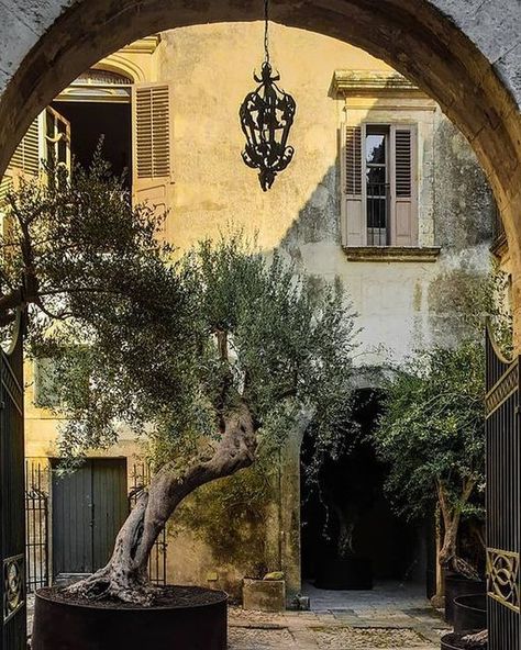 Nicholas Hayman on Instagram: "Loved the warmth of the render as a backdrop to the green Thank you for the picture @palazzocastelluccio Noto, Sicily #beauty #style #noto #sicily #island #interiordesign #courtyard #beautiful #olive #tree #garden Thank you for the book @teniqua_scents" Provence Aesthetic, European Courtyard, Portugal Garden, Old Courtyard, Olive Trees Garden, French Vineyard, Somewhere In Northern Italy 1983, Moving To Italy, Mediterranean Villa