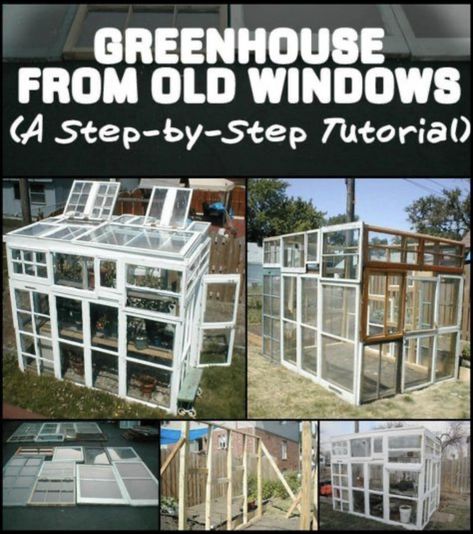 Green House From Old Windows, Greenhouse From Old Windows, Old Window Greenhouse, Window Greenhouse, Cheap Greenhouse, Greenhouse Supplies, Diy Greenhouse Plans, Best Greenhouse, Lean To Greenhouse