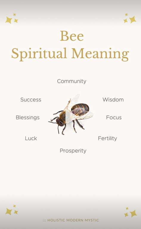 Bumble Bee Spiritual Meaning, Bumble Bee Symbolism, Bee Spiritual Meaning, Animal Omens, Animals Symbolism, Bee Spirit Animal, Pagan Sabbats, Animal Totem Spirit Guides, Backyard Beehive