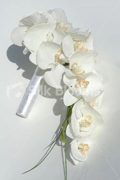 Bridal Bouquet Orchids, Bridal Bouquet Elegant, White Orchid Bouquet, White Phalaenopsis Orchid, Orchid Bridal Bouquets, Orchid Bouquet Wedding, Artificial Wedding Flowers, Cascading Bridal Bouquets, Romantic Wedding Flowers