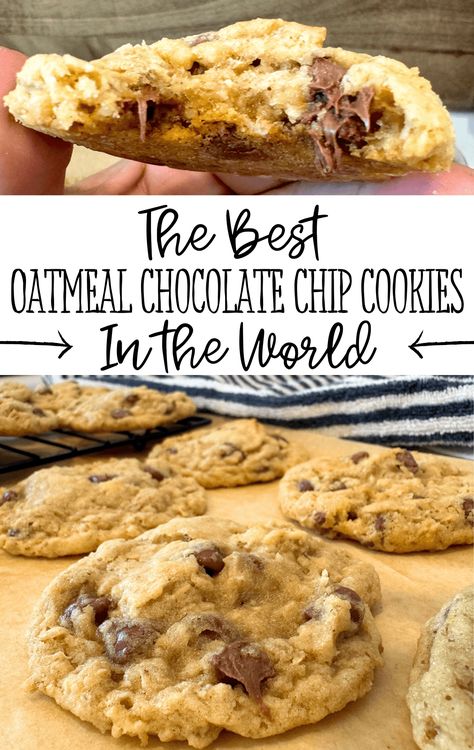 Seriously the best oatmeal chocolate chip cookies with the perfect oatmeal cookie base and your favorite kind of chocolate chips... Soft and gooey in the middle, but still hold their shape! Chocolate Oatmeal Chip Cookies, Oatmeal Peanut Butter Chip Cookies, Chocolate Chip Oatmeal Peanut Butter Cookies, The Best Chocolate Chip Oatmeal Cookies, Cookie Oatmeal Chocolate Chip, Choc Chip Oatmeal Cookies Recipes, Chocolate Chip Granola Cookies, Large Oatmeal Chocolate Chip Cookies, Chocolate Chip And Oatmeal Cookies