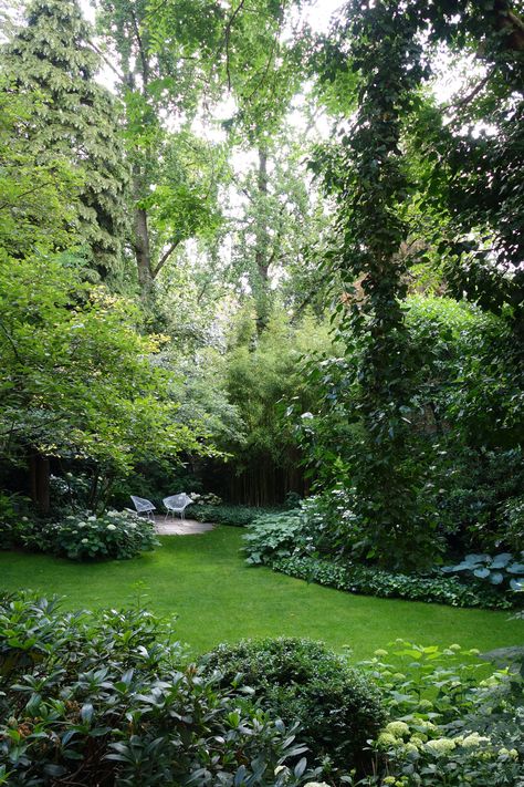 In Harmony With Nature, Harmony With Nature, Garden Architecture, Forest Garden, Magical Garden, Woodland Garden, Nature Forest, City Garden, Dream Backyard