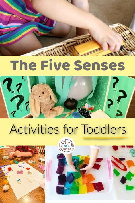 Five Senses Activities For Infants, 5senses Activities For Toddlers, 5 Senses Lesson Plan For Toddlers, 5 Senses For Toddlers Activities, 5 Senses Arts And Crafts For Toddlers, Touch And Feel Activities For Preschool, 5 Senses Hearing Preschool, Five Senses Hearing Activities, 5 Senses Activities For Infants