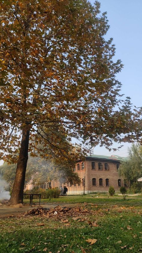 Autumn 🍁🍂 Amar singh college srinagar kashmir Park Desi #nature #Beautiful #srinagar #kashmir #park #chinar #trees Srinagar Autumn, Srinagar Photography, Srinagar Kashmir Aesthetic, Srinagar Aesthetic, Srinagar Kashmir Photography, Autumn In India, Kashmir Restaurant, Kashmir Aesthetic, Kashmir Beauty