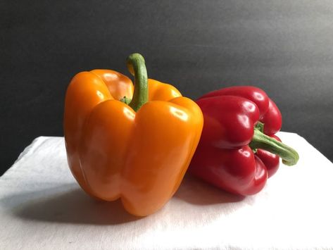 Peppers make a great muse for still life paintings Still Life Paintings, Still Life Photos, Life Paintings, Still Life Art, Still Life Painting, Peppers, Be Still, Still Life, Beautiful Pictures