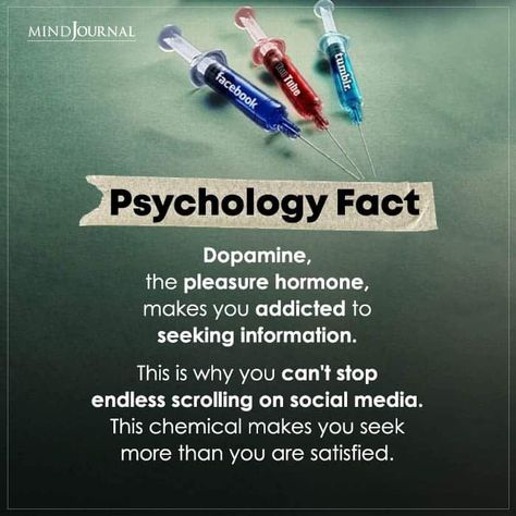 Dopamine Quote, Human Behavior Psychology, Psychology Fact, Physcology Facts, Physiological Facts, Psychology Notes, Psychological Facts Interesting, Psychology Studies, Brain Facts