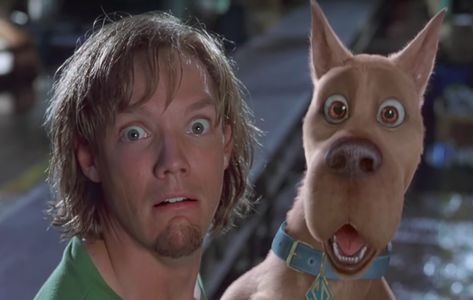 Shaggy Scooby Doo Movie, Scooby Doo Live Action, Shaggy Scooby Doo, Matthew Lillard, Scooby Doo Movie, Scooby Doo Images, Shaggy Rogers, Shaggy And Scooby, Catherine O'hara