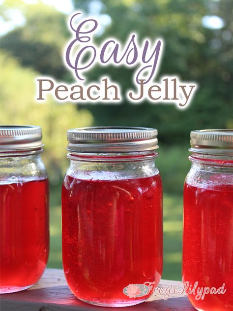 Easy Peach Jelly Recipe Canning Peach Jelly, How To Make Peach Jelly, Jello Jelly Recipes, Juice Jelly Recipes, What To Do With Peach Juice, Peach Peel Jelly Recipe, Peach Juice Recipes Canning, Fruit Juice Jelly Recipe, Jelly From Juice Recipes