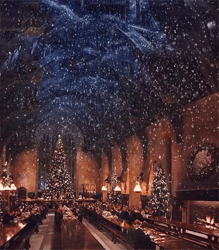 Harry Potter GIF - Harry Potter Christmas - Discover & Share GIFs Christmas Trees, Hogwarts, Harry Potter, Christmas Decorations, Trees, Christmas