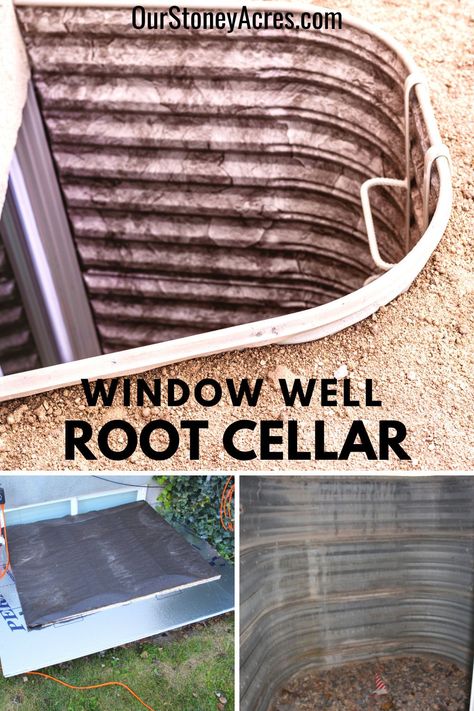 Diy Window Well, Homestead Gardening, Homesteading Tips, Modern Homestead, Food Preserving, When To Plant Vegetables, Wild Food Foraging, Veggie Gardens, Gardening Guide