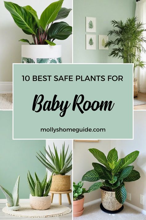 Discover the best indoor plants for baby rooms that are both safe and stylish. Use this indoor plant care guide to find low-light, zero sunlight, and cat-safe plants that are perfect for bedrooms. Explore hard-to-kill and low-maintenance houseplants ideal for hanging or styling your space. Whether you're a plant parent newbie or a seasoned green thumb, these selections like prayer plants will add life to any room effortlessly. Plant Inspired Nursery, Hanging Plants In Nursery, Hanging Plant In Nursery, Best Plants For Nursery, Plants For Nursery Baby Rooms, Plant For Nursery, Plants For Nursery, Nursery With Plants, Plants For Baby Nursery