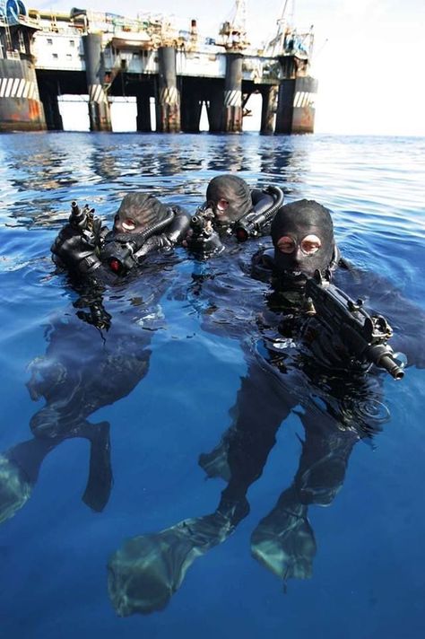 brazilian frogs Navy Special Forces, Offshore Oil Rig, Soldier Images, Us Navy Seals, Naval Special Warfare, Military Special Forces, Special Force, Special Ops, Military Forces