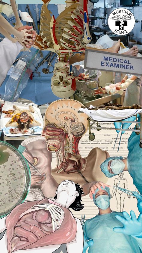 Medical examiner #anatomy Medical Examiner Aesthetic, Medical Examiner, Future Career, Medical School, Dream Life, Anatomy, Career, Medical, Quick Saves