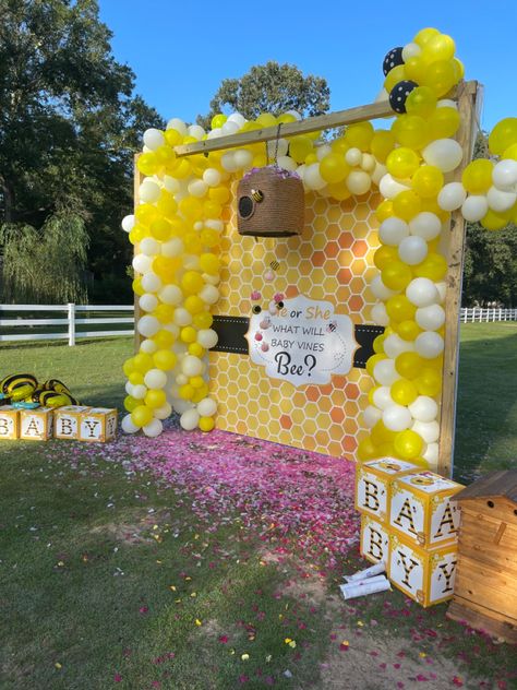 New Theme Gender Reveal, Theme For Gender Reveal, Bubble Bee Gender Reveal Ideas, Honey Bee Themed Gender Reveal, Gender Reveal Ideas For Party Theme Bumble Bees, Gender Reveal Party Theme Ideas Honey Bees, Bee Gender Reveal Ideas For Party, Bubble Bee Gender Reveal, Gender Reveal Idea Themes