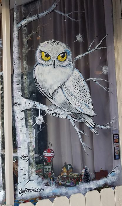 Window Painting - Storefront Displays - Window Splash Painted Window Art, Christmas Window Painting, Window Mural, Decoration Vitrine, Window Drawing, Christmas Window Display, Store Window Displays, Winter Window, Christmas Window Decorations