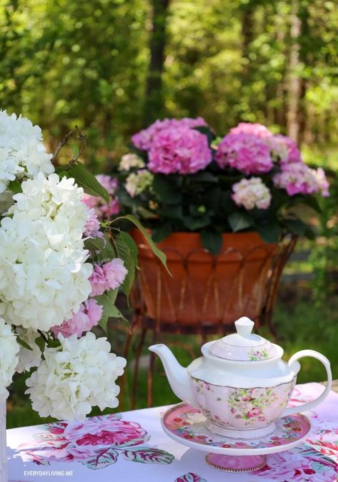 Celebrate 150 Years of the Kentucky Derby with a Festive Tea Party – Home is Where the Boat Is Spring Blooming Trees, Bridal Wreath Spirea, Hydrangea Pink, Peaceful Vibes, Run For The Roses, Growing Pains, Blooming Trees, Welcome Summer, Serving Drinks