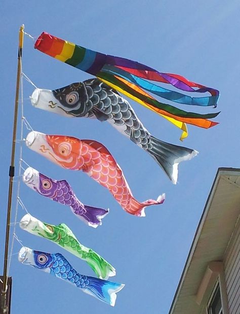 Japan Presentation, Japan Core, Aya Takano, My Policeman, Air Element, Japanese Fish, Flying Fish, Kite Flying, Japanese Aesthetic