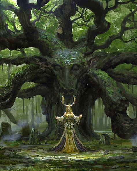 Solas Dragon Age, 다크 판타지, Fantasy Forest, Fantasy Setting, Fantasy Places, High Fantasy, Arte Fantasy, 판타지 아트, Fantasy Inspiration