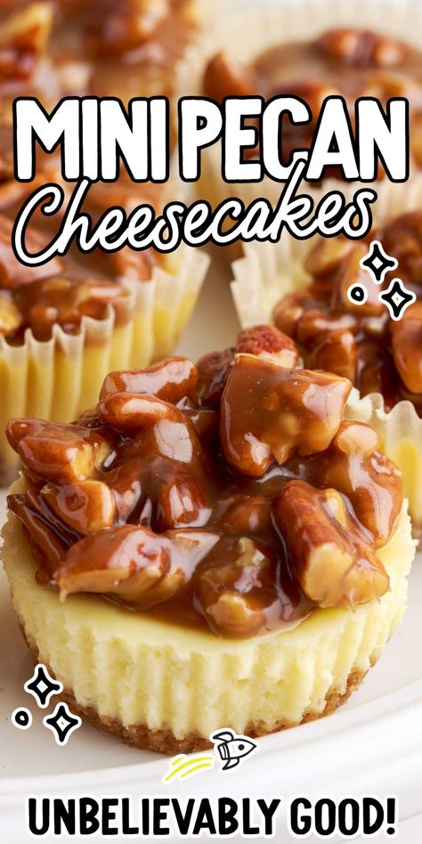 Mini Pecan Pie Cheesecakes, Mini Christmas Cheesecakes, Pecan Cheesecake Bites, Mini Pecan Cheesecakes, Pecan Snacks, Mini Caramel Cheesecake, Pecan Cheesecake Recipes, Butter Pecan Cheesecake, Cheesecake Delight