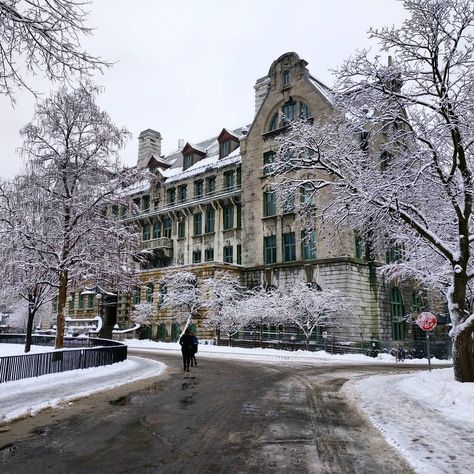 McGill . #Montreal #Quebec #McGill #Winter #mtlmoments #HiverauQuebec Winter Semester, Mcgill University, Mount Royal, Life Vision Board, Dream College, Dream School, Of Montreal, Montreal Quebec, True North