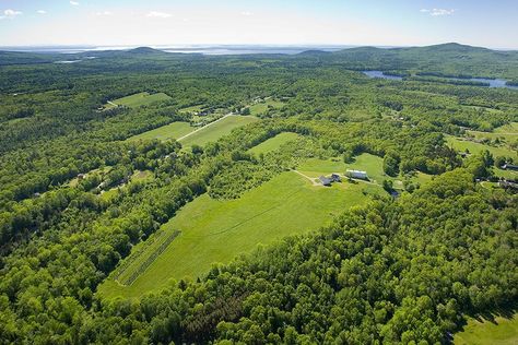 50 Acres Of Land, 100 Acres Of Land, Lincolnville Maine, 10 Acres Of Land, Vision 2023, Personal Bio, Life Plans, Hampton Home, Acres Of Land