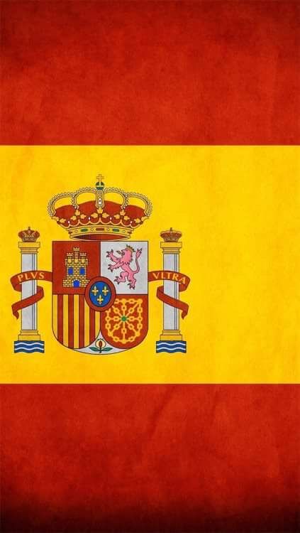 Spain Party, Spain Map, Spanish Flag, European Flags, Spanish Flags, Spain Football, Spain Flag, Mexico History, World Wallpaper