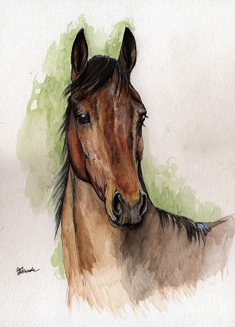 Horse Farmhouse, Watercolor Horse Painting, Horse Art Drawing, Horse Sketch, Rasy Koni, Love Horses, Horse Illustration, Drawing Watercolor, Horse Portrait