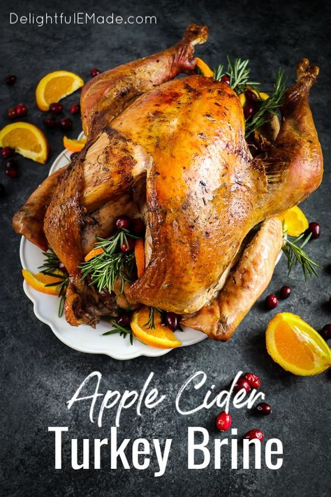 Apple Cider Turkey Brine - The BEST Turkey Brine Recipe! Apple Cider Brine For Turkey, Apple Brined Turkey, Turkey Brine With Apple Cider, Turkey Brine Apple Cider, Apple Cider Turkey Brine Recipes Easy, Diy Turkey Brine Recipe, Best Brine For Turkey Recipes, Turkey Brine Recipes Easy, Apple Cider Turkey Brine