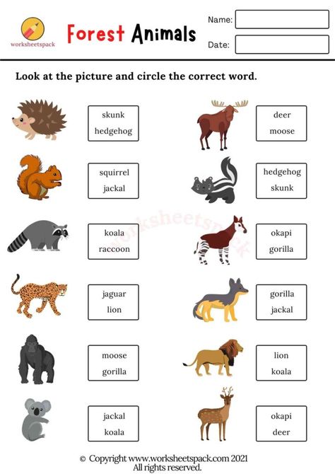 Forest Animals Worksheets PDF - worksheetspack Animal Sounds Worksheet Kindergarten, Animals And Their Sounds Worksheets, Animal Sounds Worksheet, Animal Sounds Activity, Sound Of Animals, Kindergarten Animals, Animals And Their Sounds, Animals Worksheet, Preschool Worksheets Free Printables