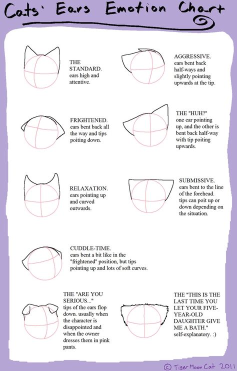 Ears Drawing, Anime Cat Ears, Drawing Kawaii, How To Draw Ears, Emotion Chart, Cat Drawing Tutorial, Drawing Help, Drawing Expressions, Poses References