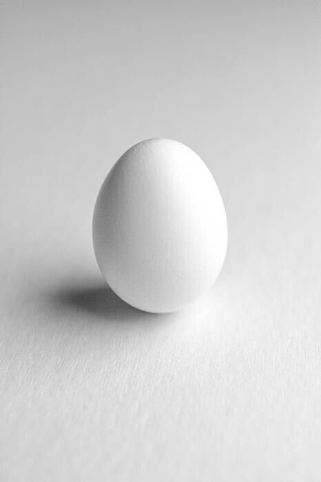 WHITE... Egg Photography, Egg Drawing, Egg Wallpaper, Egg Pictures, White Egg, Egg Photo, Funny Fruit, Egg Art, Egg White