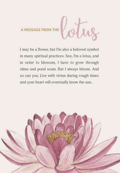 Lotus Meaning, Lotus Buddha, Cherry Quartz, Flower Meanings, Symbols And Meanings, Language Of Flowers, Meaning Of Life, Handmade With Love, Lotus Flower